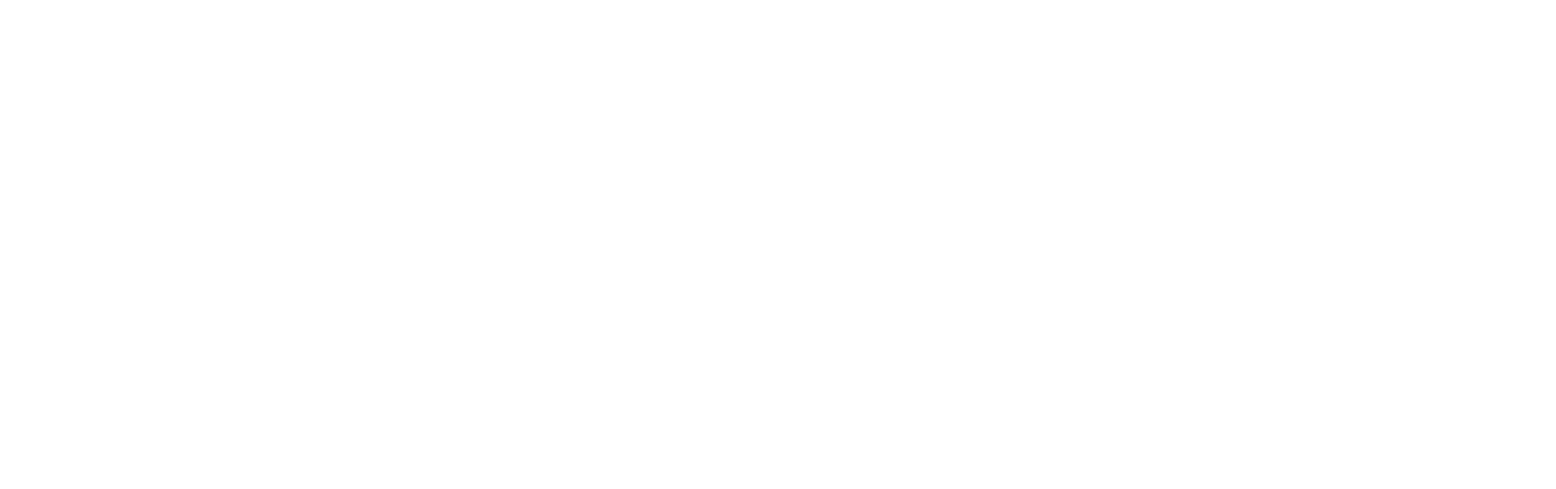 Jappi Smart Travel Innovation Group